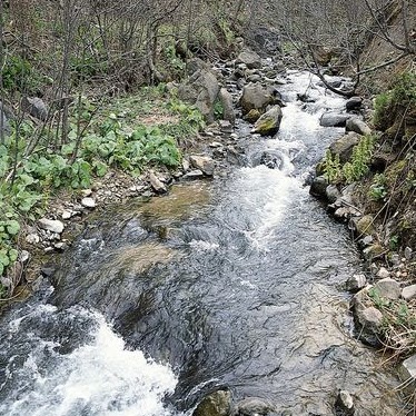 Don Brown Photo 48