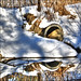 Don Winters Photo 15