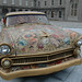 Doris Muniz Photo 15