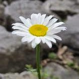 Sheri Bennett Photo 10