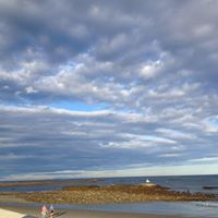 Sandra Goddard Photo 6