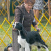 Shelly Springer Photo 10