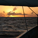 David Sloop Photo 11