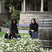 Tammy Romano Photo 19