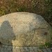 Ruth Andreas Photo 7