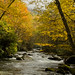 Janice Rivers Photo 12