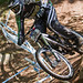 George Windham Photo 1
