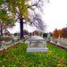 Andrew Abell Photo 4