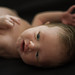Miles Thomson Photo 14
