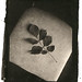 Kenneth Geiger Photo 30