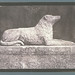 William Talbot Photo 22