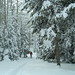Douglas Hahn Photo 21