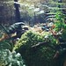Joyce Moss Photo 12