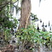 Mary Brownell Photo 14