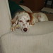 Karen Clayton Photo 21