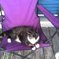 Susan Sisk Photo 16