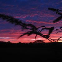 Ann Craddock Photo 9