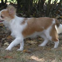 Susan Conners Photo 9
