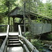 Hollis Allen Photo 17