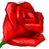 Shafiq Niazi Photo 12