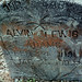 Alvin Lewis Photo 19
