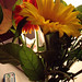 Leesa Flowers Photo 9