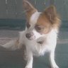 Danette Roberts Photo 6