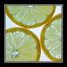 Robert Lemons Photo 12