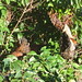 Kimberly Hedges Photo 15