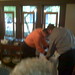 Jeffrey Kelly Photo 20