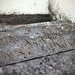 Richard Ernst Photo 6