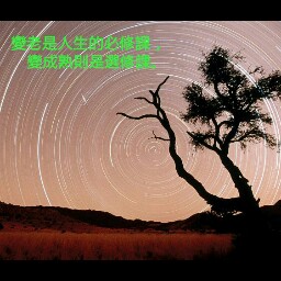 Chin Ching Photo 32