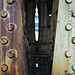 Edward Rust Photo 9