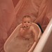 Douglas Bath Photo 8