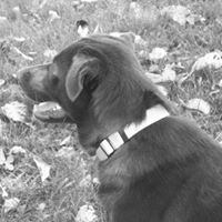 Valerie Stanley Photo 13