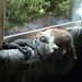Tracy Grayson Photo 7