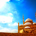 Ali Muhammad Photo 30