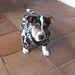 Russel Frank Photo 21