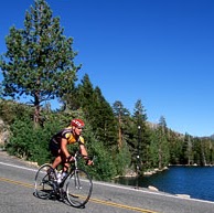 Michael Shulman Photo 42