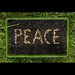 Elizabeth Peace Photo 22