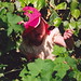 Amy Berry Photo 16