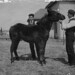 Gordon Dunlap Photo 10