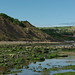 Robin Beach Photo 20