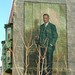 Don Robeson Photo 5