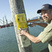 Patrick Corcoran Photo 12