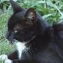 Kathy Joyce Photo 42