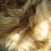 Ginger Thomas Photo 31