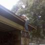 Michael Ridgway Photo 33