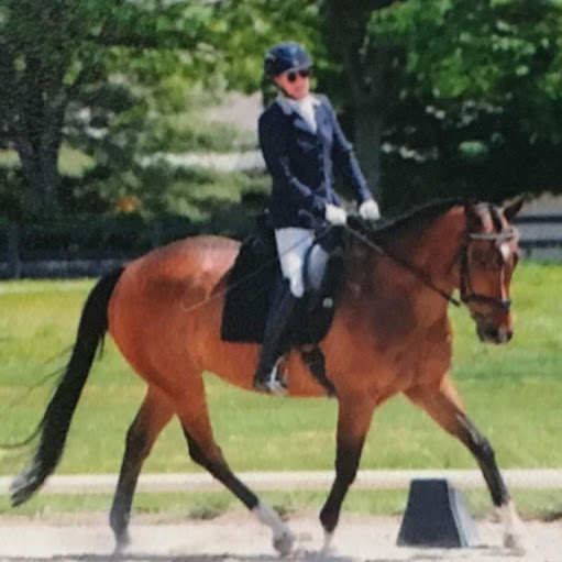 Holli Hammarquist Photo 6