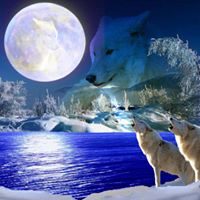 Susan Shute Photo 13
